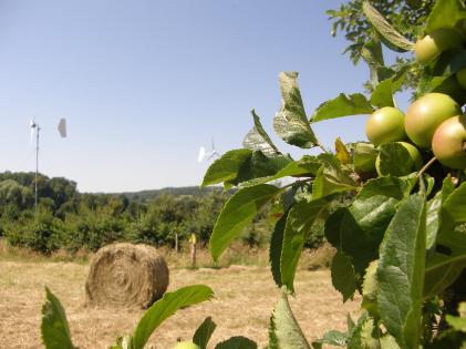 apples bales and wind turbines